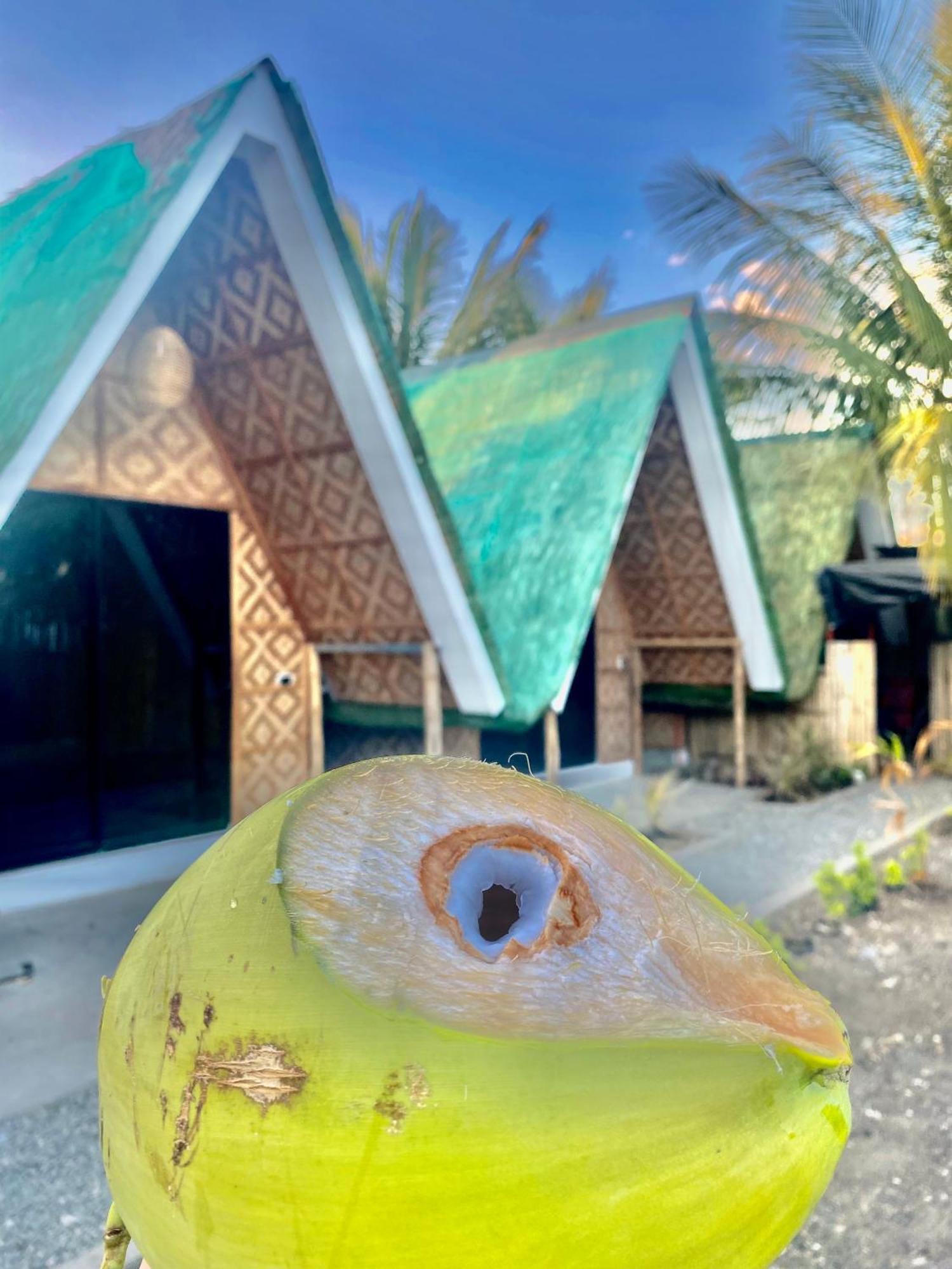 Villa Lovi Panagsama Beach Moalboal Exterior photo